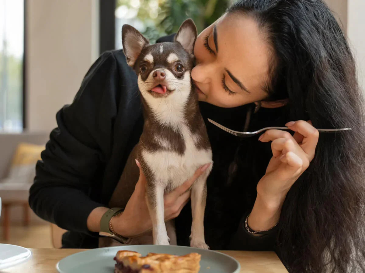 How to Potty Train a Puppy or Dog in an Apartment