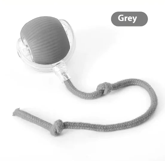 Motion Activated Sensor Interactive Cat Toy