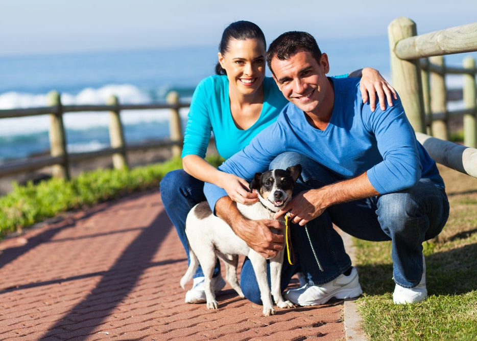 Freedom for Everyone